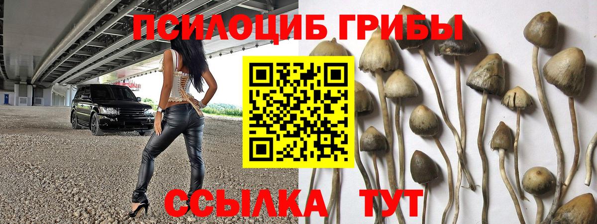 купить наркотики сайты  Псилоцибиновые грибы прущие грибы  Вход с VPN  Псилоцибиновые грибы мицелий  Обнинск 