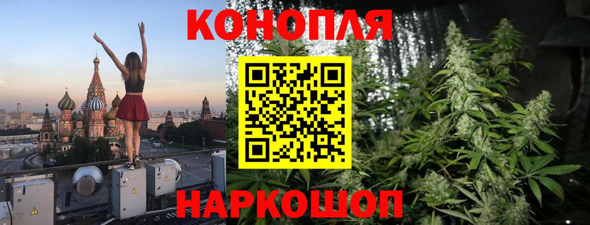 Конопля марихуана Обнинск